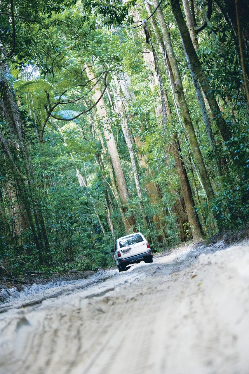 Fraser Island
