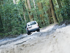 Fraser Island Tour